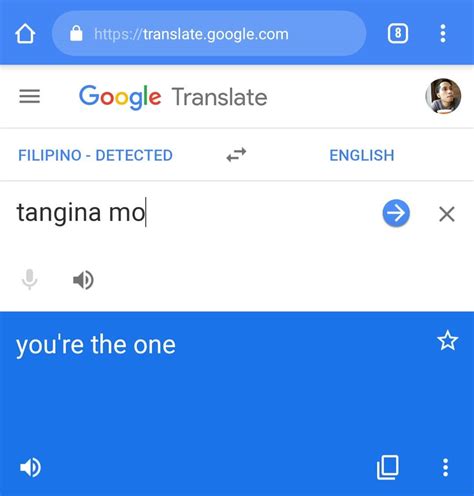 tanginamo in english|tangina in English .